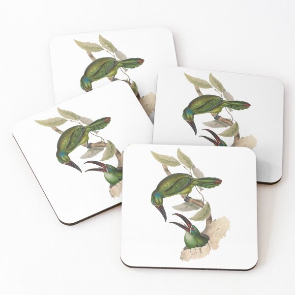 Item preview, Grove Bill Aracari Bird  designed and sold by MicbellaArt.