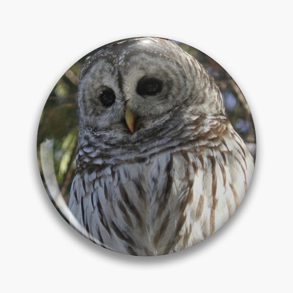Item preview, Big Beautiful Barred Owl designed and sold by locustgirl.