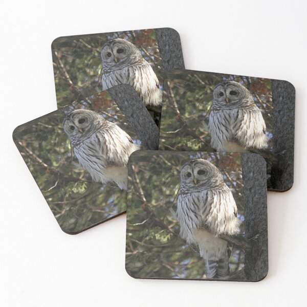Item preview, Big Beautiful Barred Owl designed and sold by locustgirl.