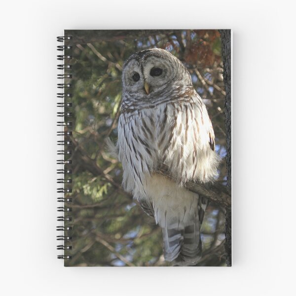 Item preview, Big Beautiful Barred Owl designed and sold by locustgirl.