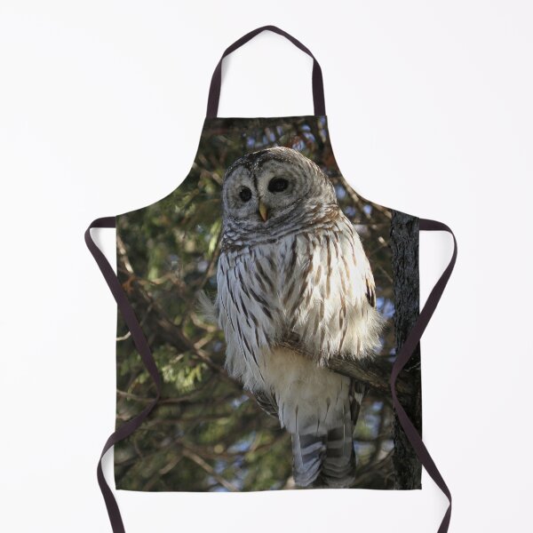 Item preview, Big Beautiful Barred Owl designed and sold by locustgirl.
