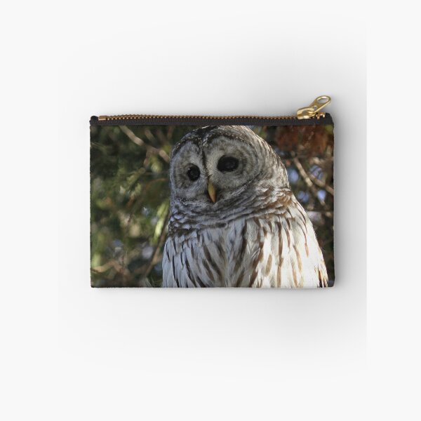 Item preview, Big Beautiful Barred Owl designed and sold by locustgirl.