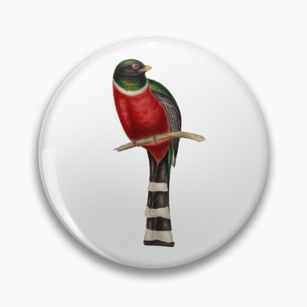 Item preview, Trogon Bird  designed and sold by MicbellaArt.
