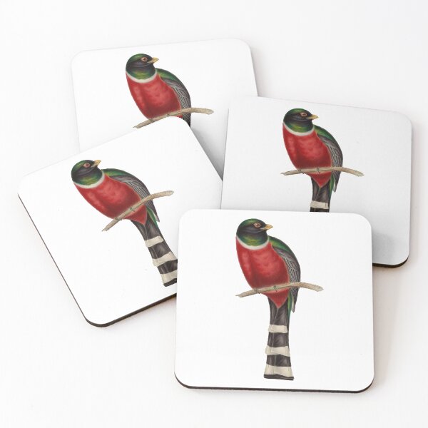 Item preview, Trogon Bird  designed and sold by MicbellaArt.