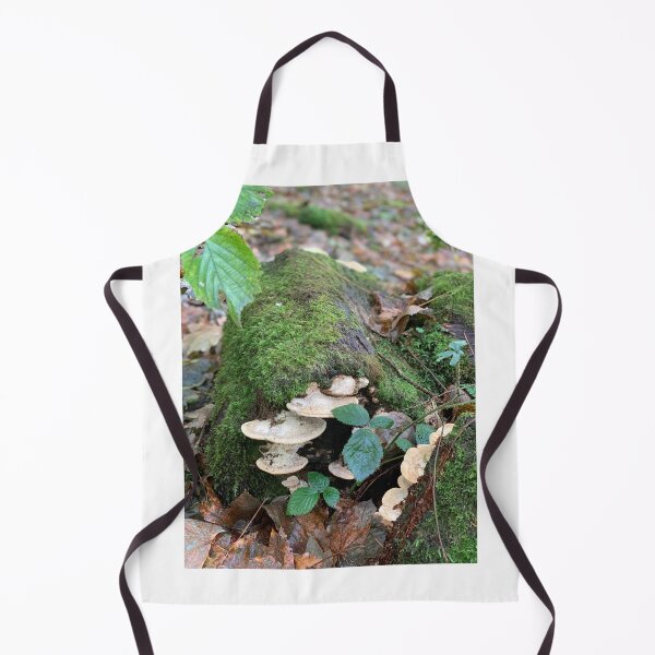 Item preview, Wild mushrooms on a tree trunk designed and sold by veraD58.