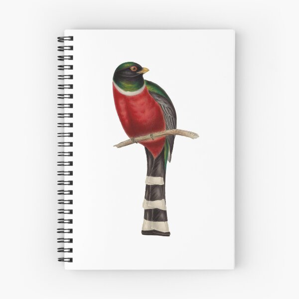 Item preview, Trogon Bird  designed and sold by MicbellaArt.