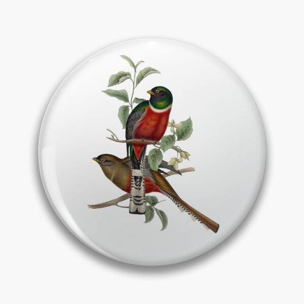 Item preview, TROGON BIRD designed and sold by MicbellaArt.