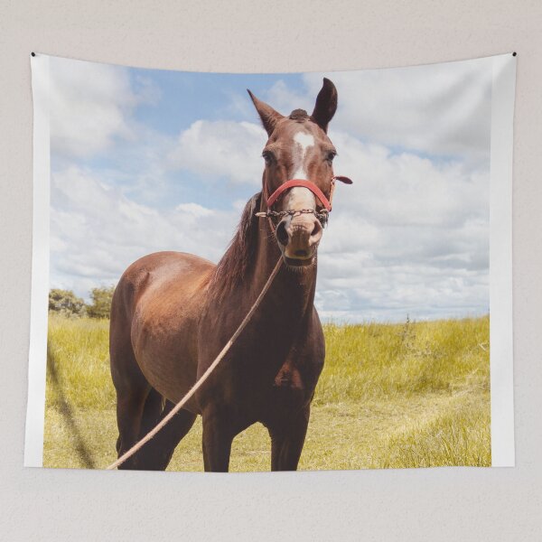 Item preview, Copy of horsey designed and sold by KnitNknot.