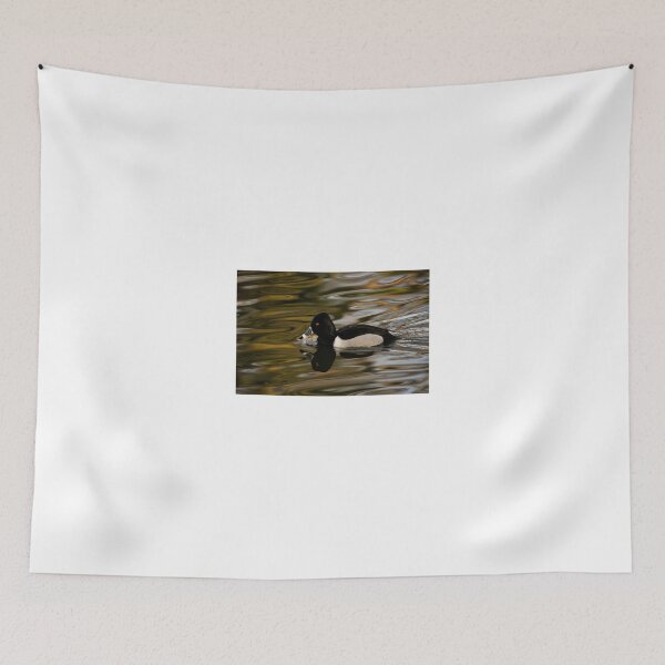 Item preview, Aythya Collaris designed and sold by Andreas Mueller.