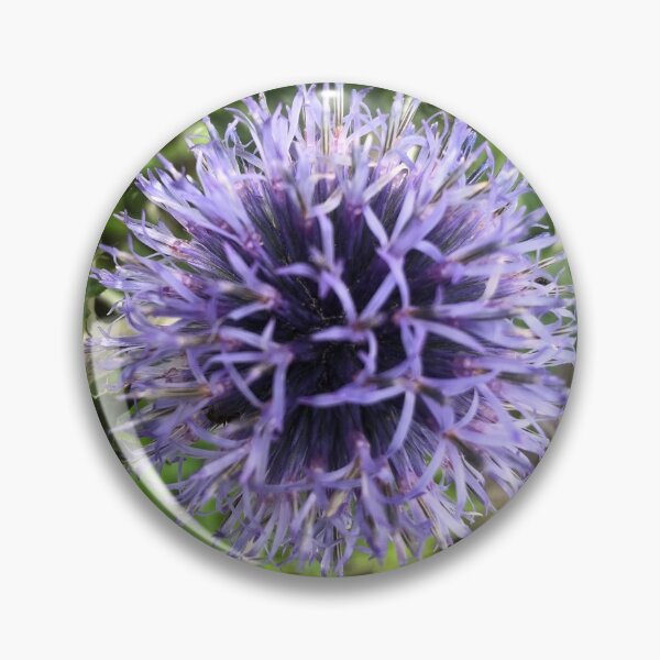 Item preview, Blue cactus designed and sold by elaine-gregers.