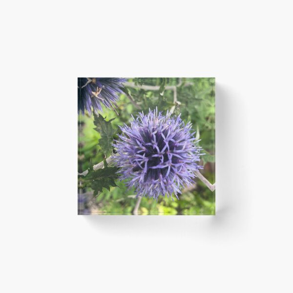 Item preview, Blue cactus designed and sold by elaine-gregers.