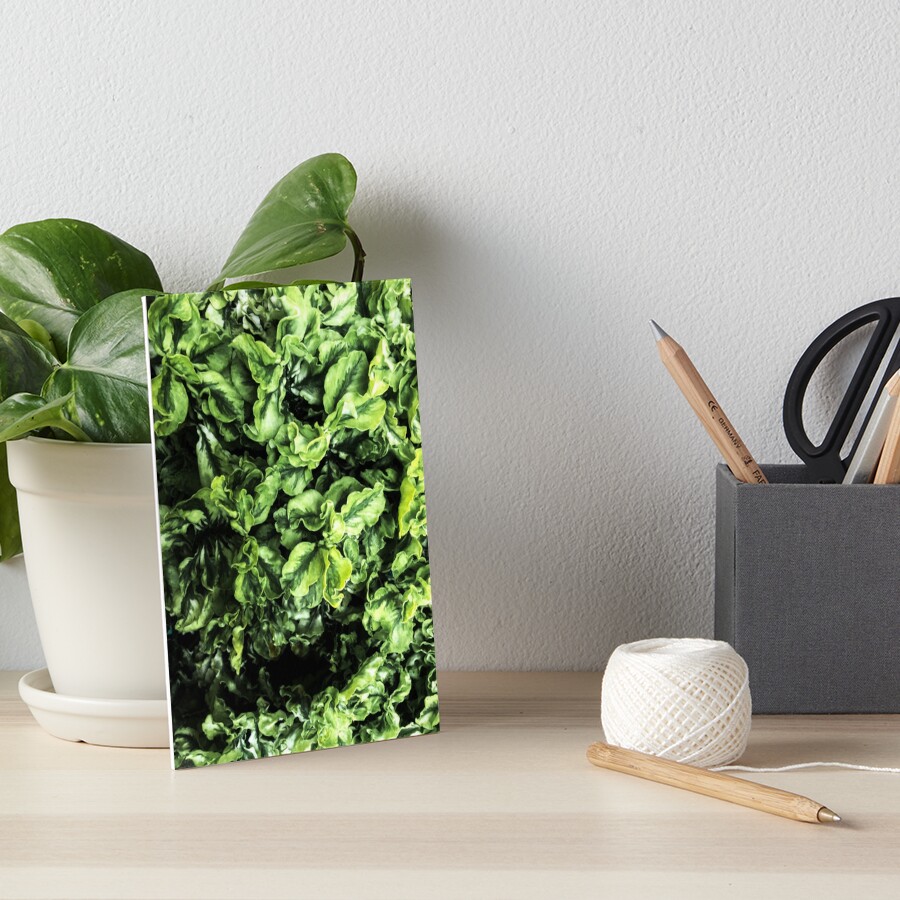 Item preview, Art Board Print designed and sold by Thsid.