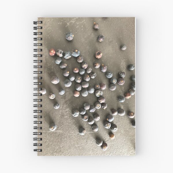 Item preview, Juniper berries designed and sold by elaine-gregers.