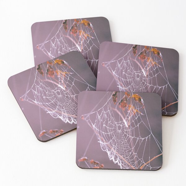 Item preview, Cold Frosty Spider Cob Webs In Autumn  designed and sold by Richard Howell Photography.