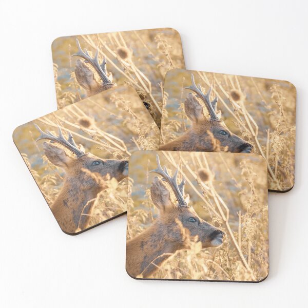 Item preview, Muntjac Deer Eating on Tall Grass at Golden Sunset designed and sold by Richard Howell Photography.