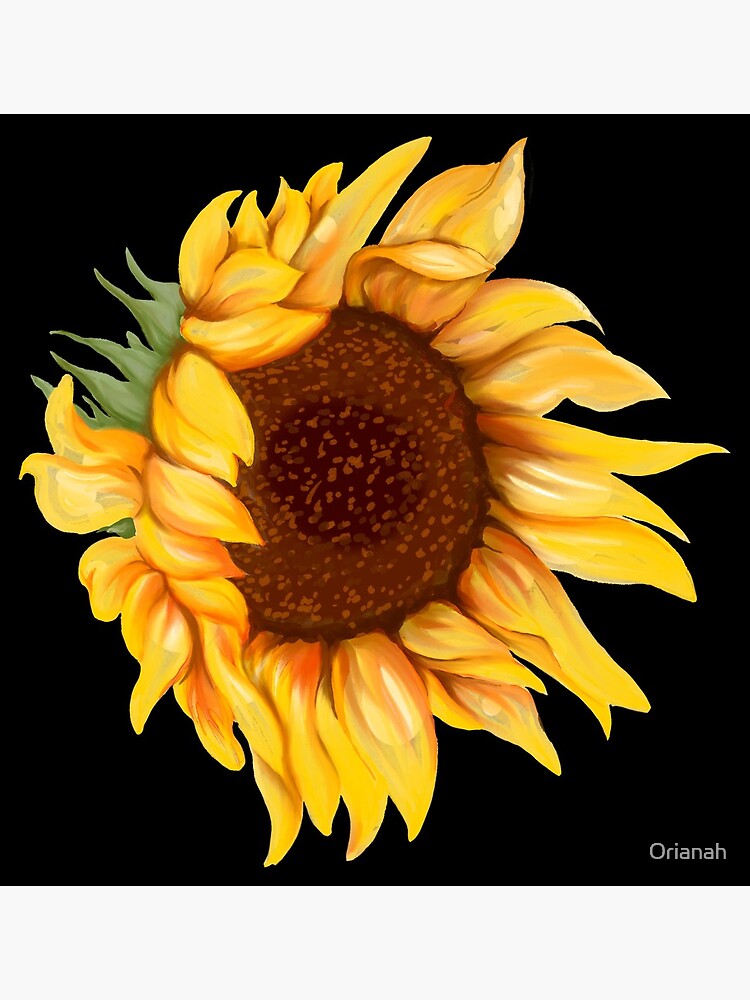 Bright and cheerful painted sunflower