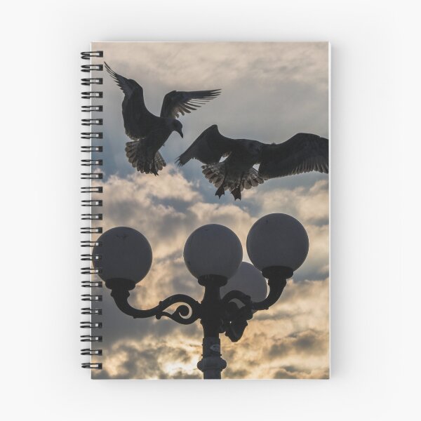 Item preview, Landing designed and sold by Compelling2011.