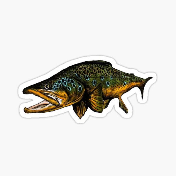 Gallatin River sticker Fly fishing brown trout decal Montana