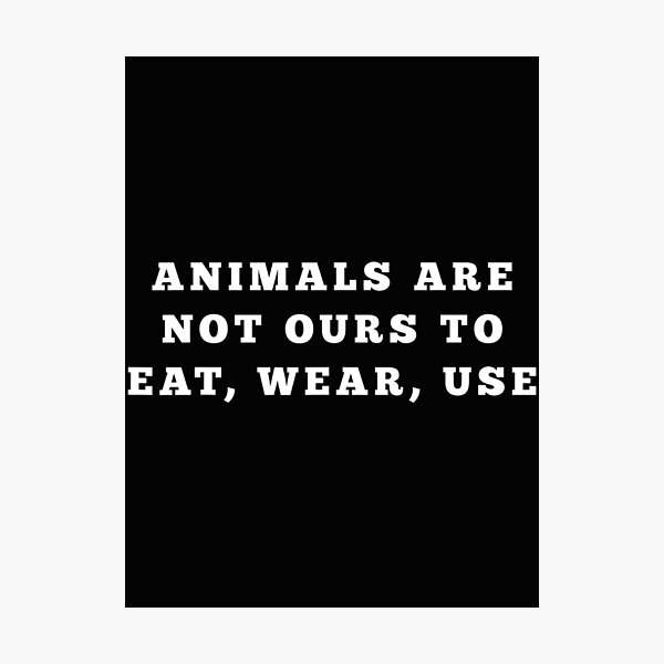 animals-are-not-ours-to-eat-wear-use-vegan-photographic-print-for