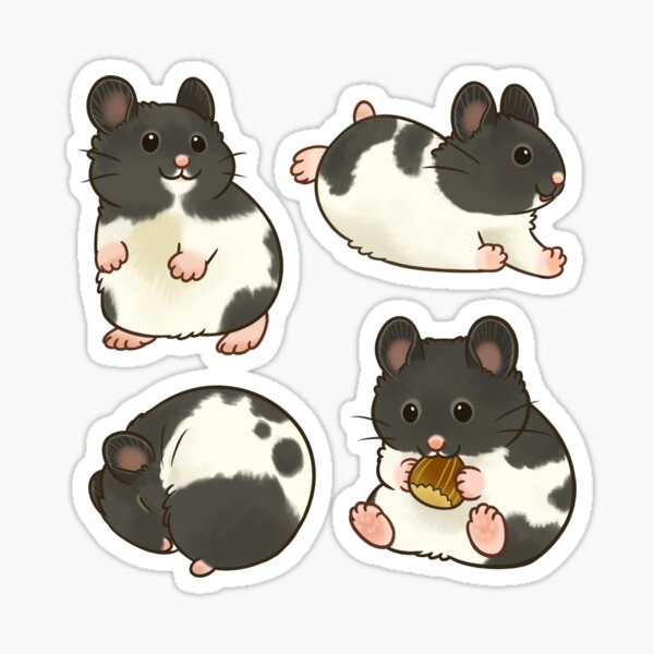 Produits sur le th me De Hamster Noir Et Blanc Redbubble