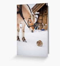 Hest og kanin Greeting Card