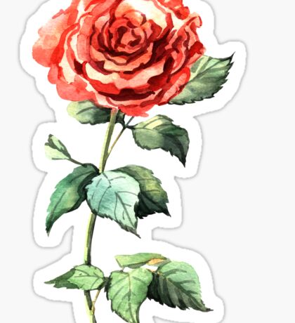 Rose: Stickers | Redbubble