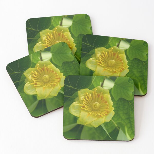 Item preview, Canadian Exotics - Extravagant Tulip Tree Bloom designed and sold by Georgia Mizuleva.