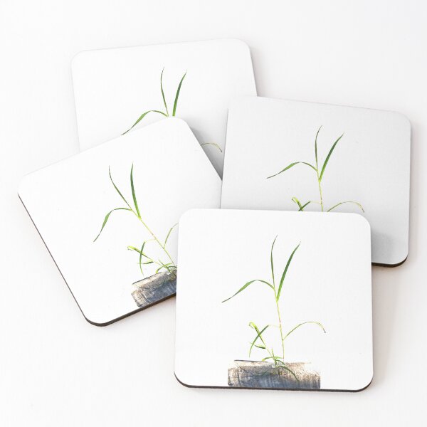 Item preview, Resilience/strength/will power/nature designed and sold by VeenaNair23.