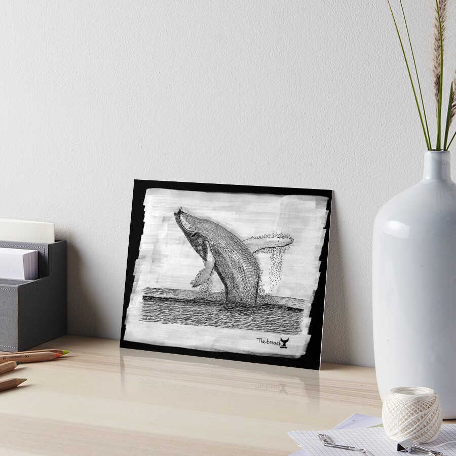 The Breach. Humpback Whale black background Art Board Print