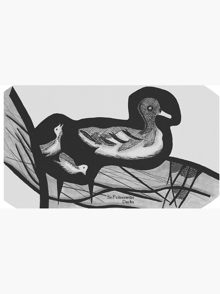 St Frideswide Ducks Clothing by hoxtonboy