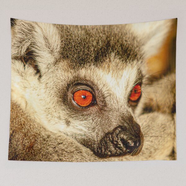 Item preview, Portrait of a Ring-tailed Lemur designed and sold by Dalyndigital Photography.