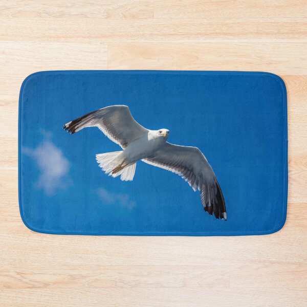 Item preview, Lesser black-backed gull looking for your Chips! designed and sold by Dalyndigital Photography.