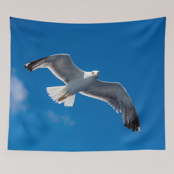 Item preview, Lesser black-backed gull looking for your Chips! designed and sold by Dalyndigital Photography.