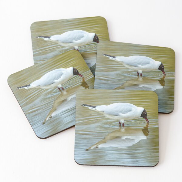 Item preview, Black Headed Gull Reflections designed and sold by Dalyndigital Photography.