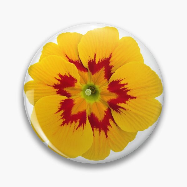 Item preview, Yellow Flower Primrose Still Life Floral Photography designed and sold by CottoVerdi.