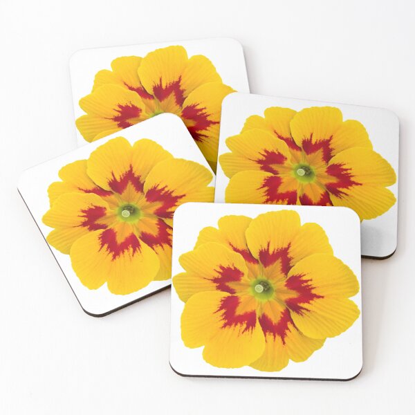 Item preview, Yellow Flower Primrose Still Life Floral Photography designed and sold by CottoVerdi.