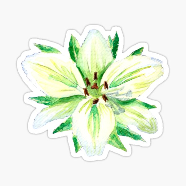 White Lily - Watercolor Flower Painting Sticker