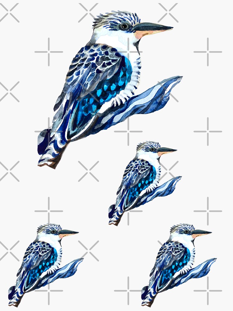 "Kookaburra" Sticker for Sale by Lemontreeart63 Redbubble