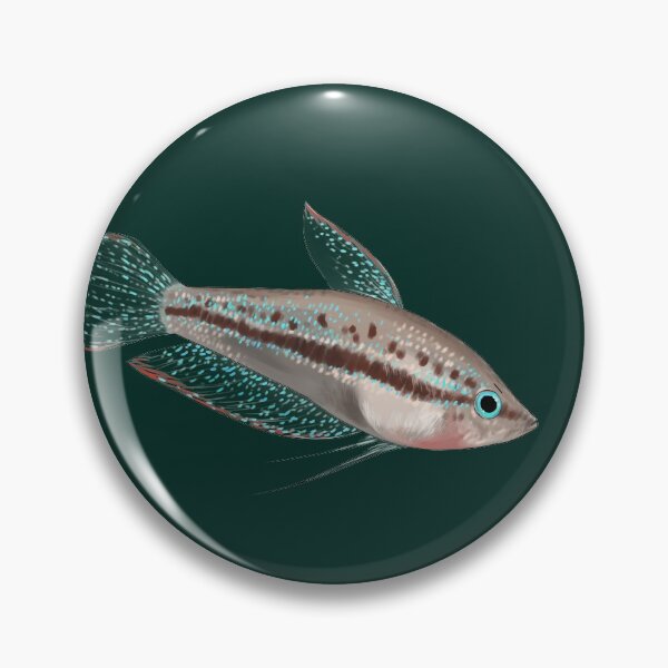 Item preview, Thorin the sparkling Gourami designed and sold by dickesSchaf.