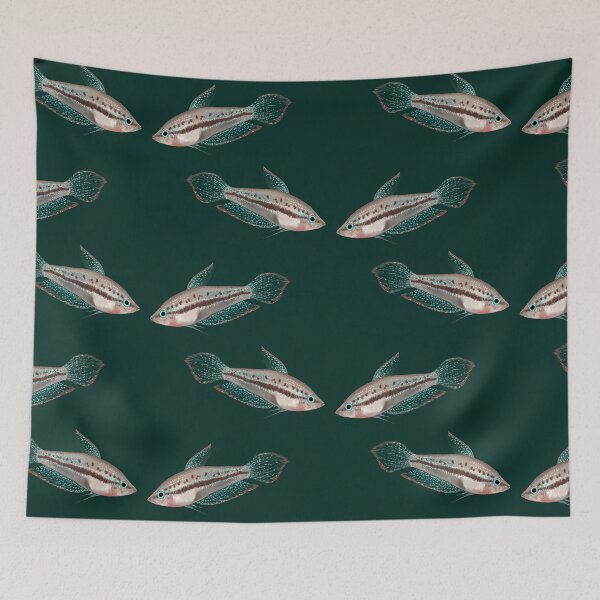 Item preview, Thorin the sparkling Gourami designed and sold by dickesSchaf.