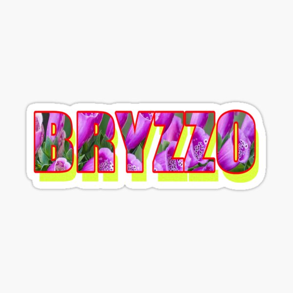 Get your Bryzzo souvenirs!  The #Bryzzo Souvenir Co. is open for