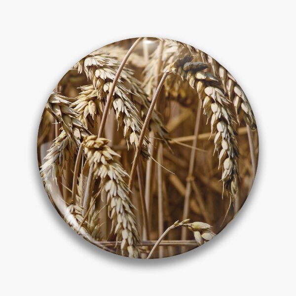 Item preview, Dried Wheat designed and sold by Baboki.