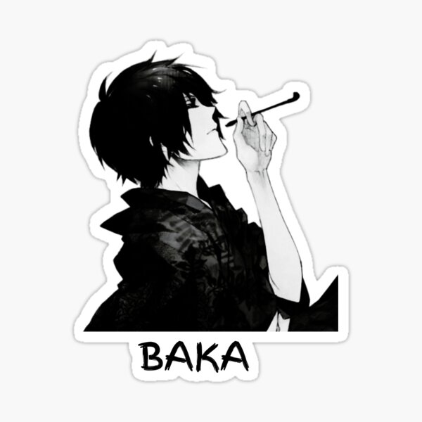 `Baka to Test to Shokanju` Character Song Mini Album (CD) - HobbySearch  Anime Goods Store
