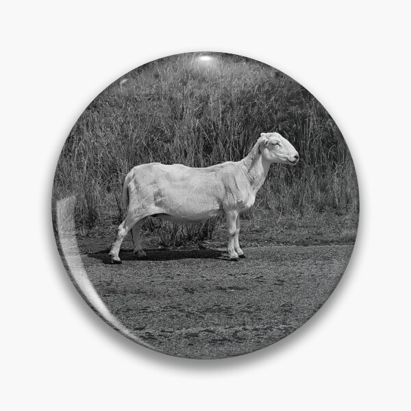 Item preview, Ewe Cannot Park There!  designed and sold by CloneDigitalArt.