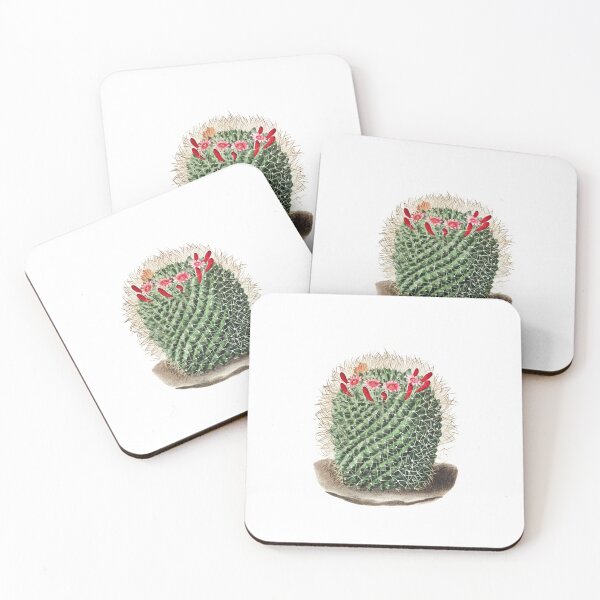 Item preview, Pincushion Cactus (Mammillaria Dolichocentra) from Iconographie descriptive des cactées designed and sold by two peas in a pod.