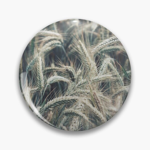 Item preview, Dried Wheat designed and sold by Baboki.