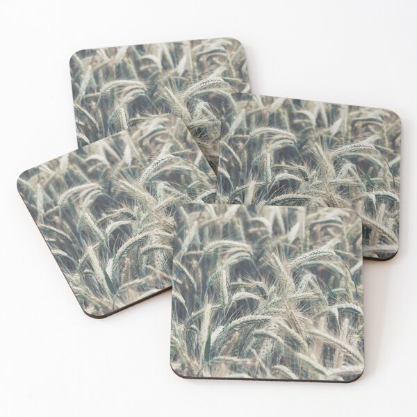 Item preview, Dried Wheat designed and sold by Baboki.