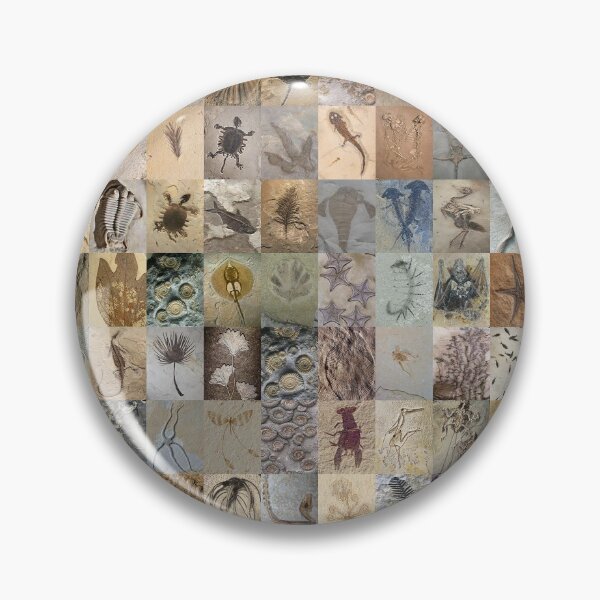 Item preview, Fossils designed and sold by Montage-Madness.