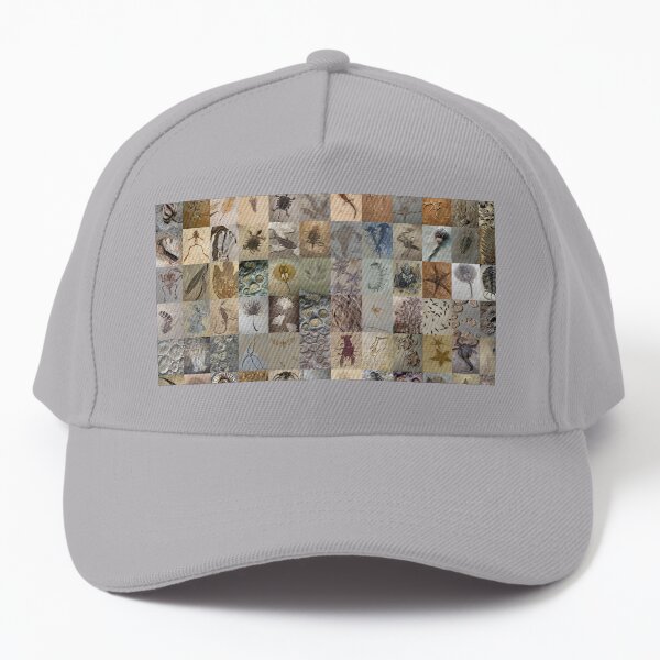 Fossils Baseball Cap