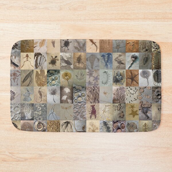 Item preview, Fossils designed and sold by Montage-Madness.